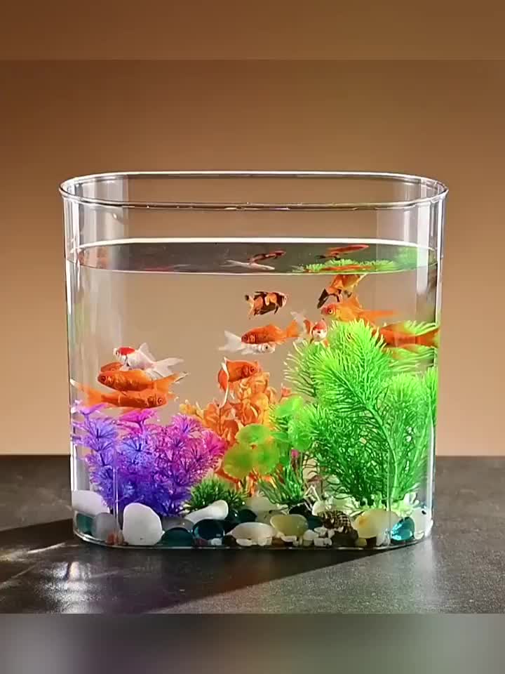 Mini aquarium en plastique transparent incassable, petit poisson