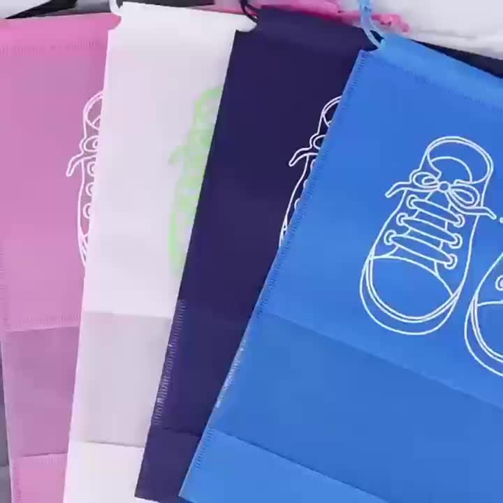 Bolsas organizadoras para almacenamiento de zapatos, bolsa de armario  portátil de viaje no tejida, bolsa colgante transparente para ropa de  bolsillo impermeable, 10/5 Uds.