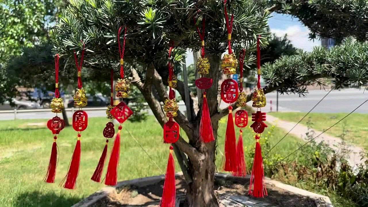 Washranp 2024 Chinese New Year Decorations,Traditional Red Fu Character God of Wealth Decor Tassel Pendant Hanging for Home Office Car Tree Ornaments