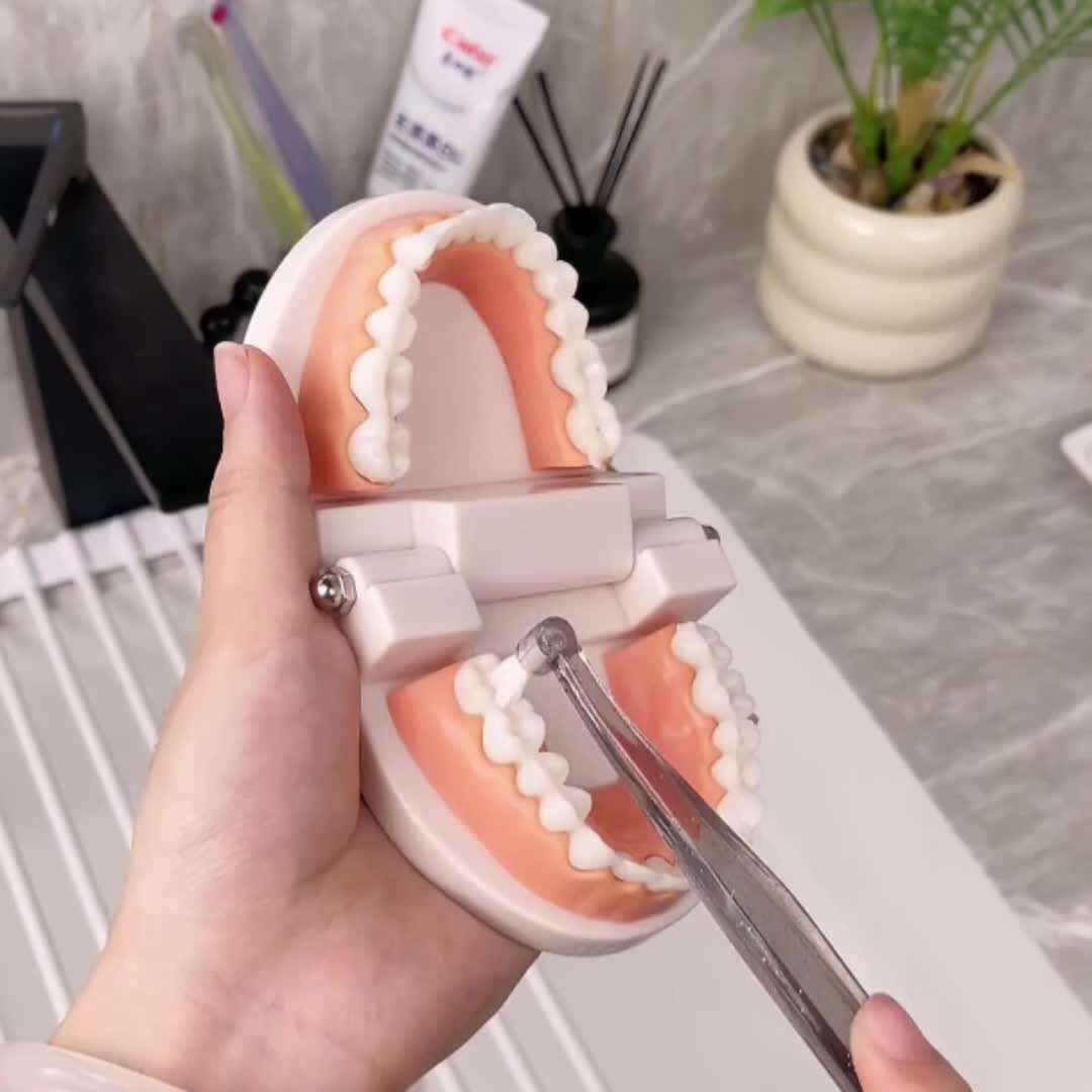 Kasili Dual-Headed Toothbrush with Soft Bristles for Wisdom Teeth