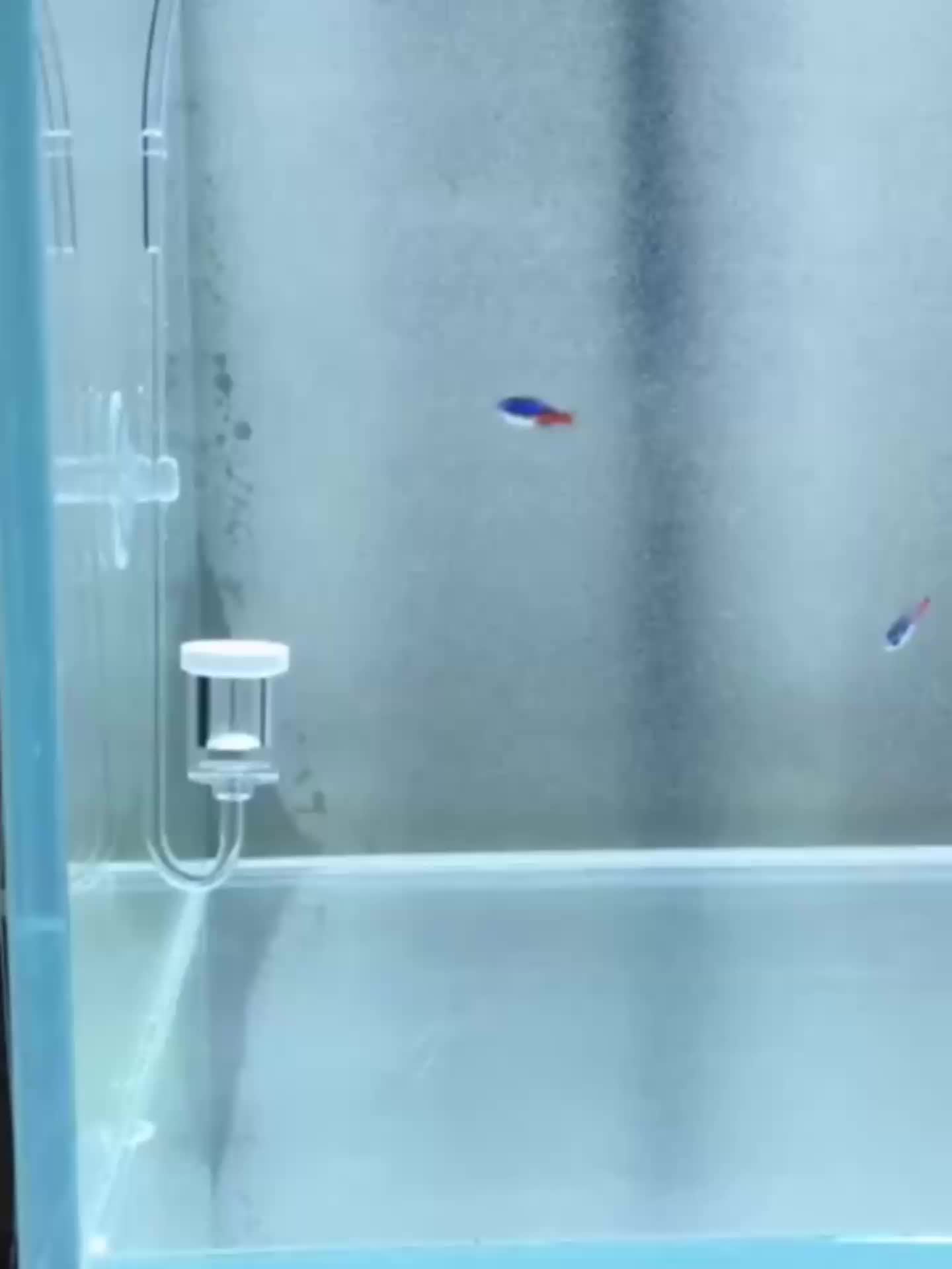 Pompe À Air Pour Aquarium, Pompe À Oxygène, Pierre À Air, Pierre À Bulles,  Aérateur D'aquarium Avec Technologie Nanométrique, Mode en ligne