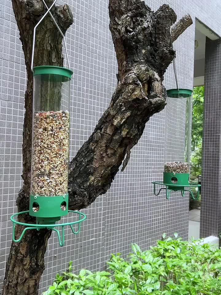 Mangeoire évolutive pour oiseaux sauvages suspendus à l'extérieur,  mangeoires d'oiseaux à l'épreuve des écureuils en métal à l'extérieur avec  4 perchoirs pour les mangeoires de graines de décor de jardin