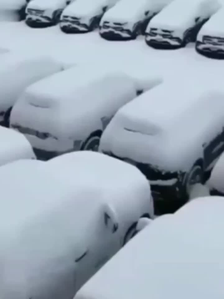 Auto Windschutzscheibenabdeckung Protector Winter Magnet Schneefang gegen  Schnee Eis Staub Frost