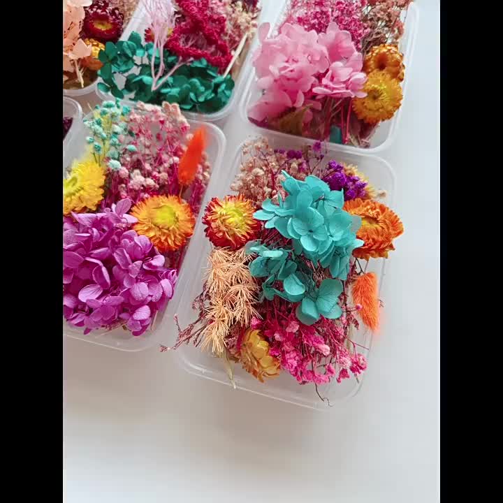 Random Style Mini Dried Flowers Bouquets Kit Real Dried - Temu