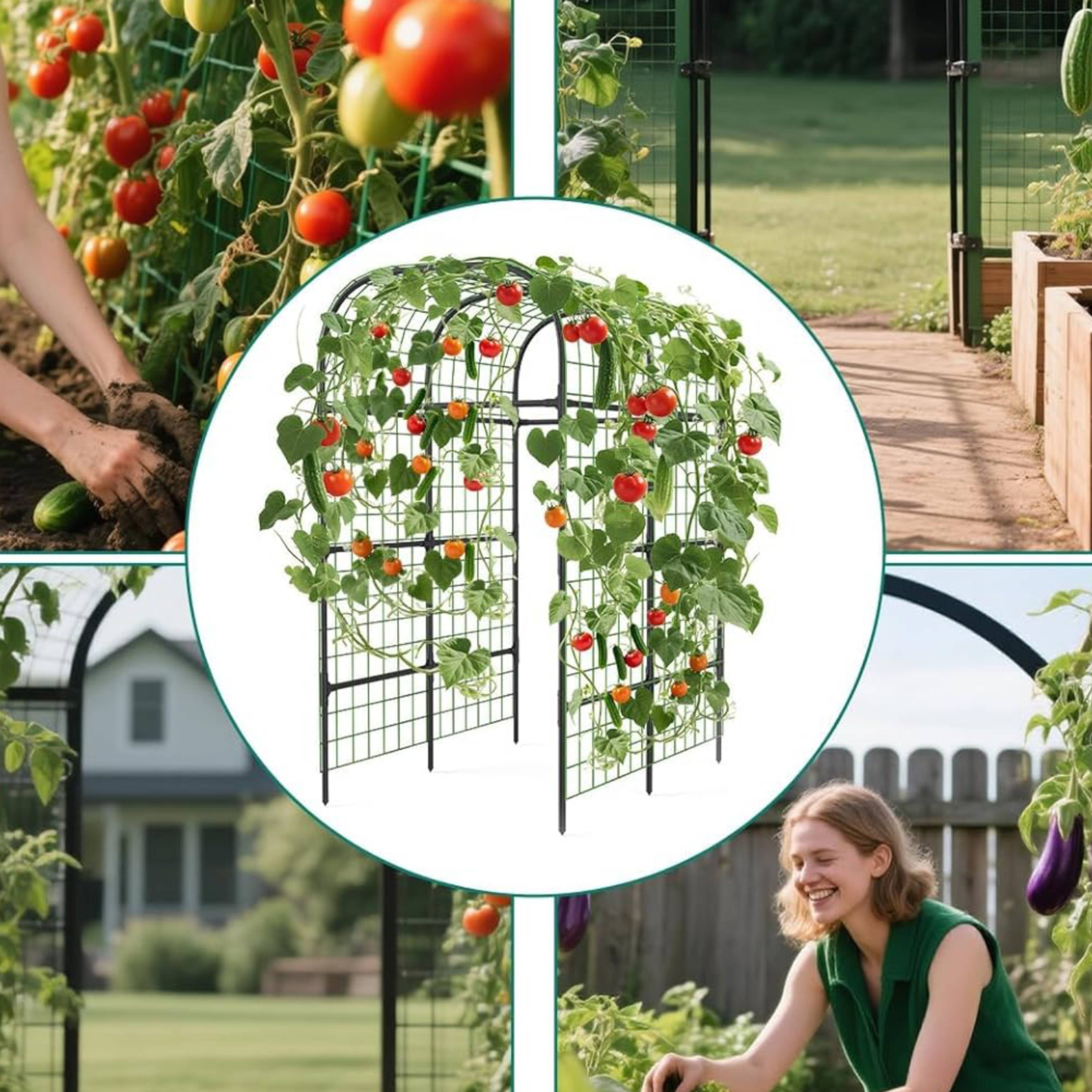 7.5 Ft Garden Arch Trellis Outdoor Plant Support Archway, Cucumber Trellis For Garden Vegetable Trellis, Plant Grow Support Frame For Climbing Plants Support Vegetable Flower Fruits Vine
