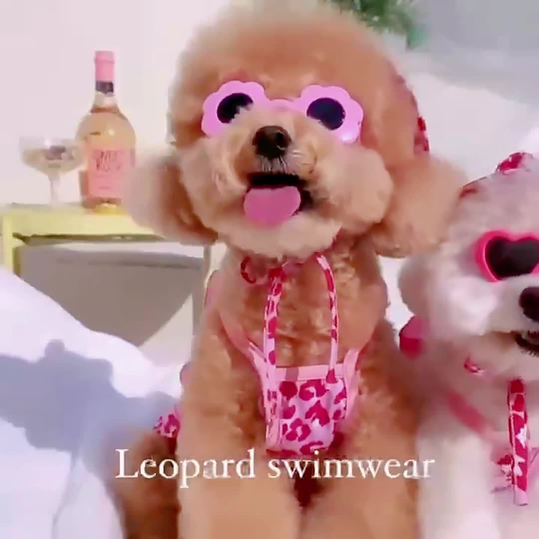 Hunde-Badeanzug Einteilig Mit Sonnenhut – Hellkariertes Bikini-Set Für Kleine Hunde Und Katzen, Kühlendes Schwimmfell
