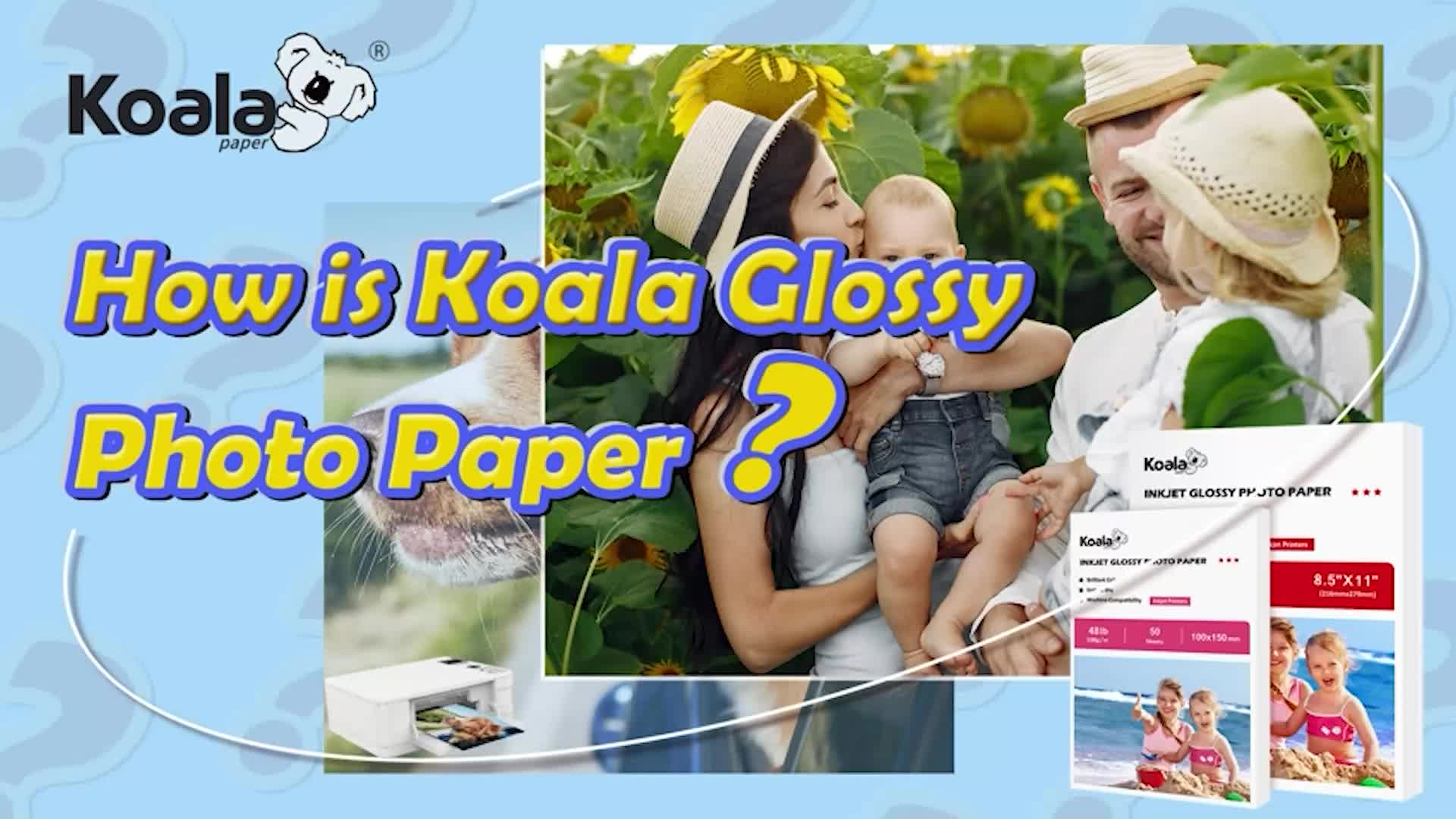 Koala Glossy Paper