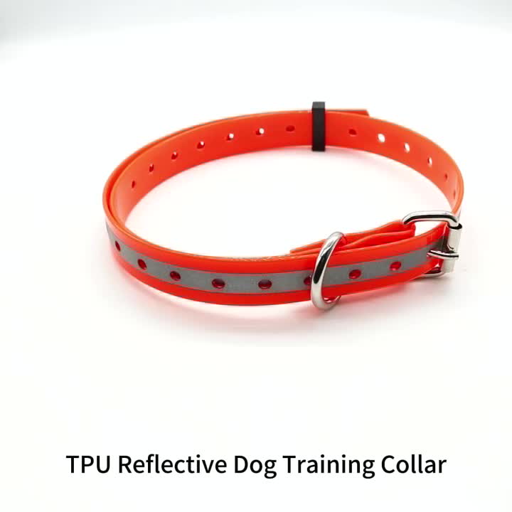 Adjustable Reflective TPU Dog Collar with Zinc Alloy Buckle