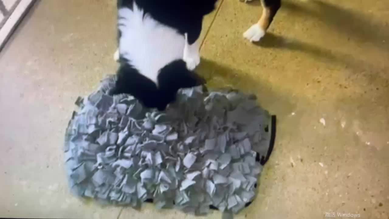 DIY Washable Snuffle Mat to Keep Your Cat Engaged