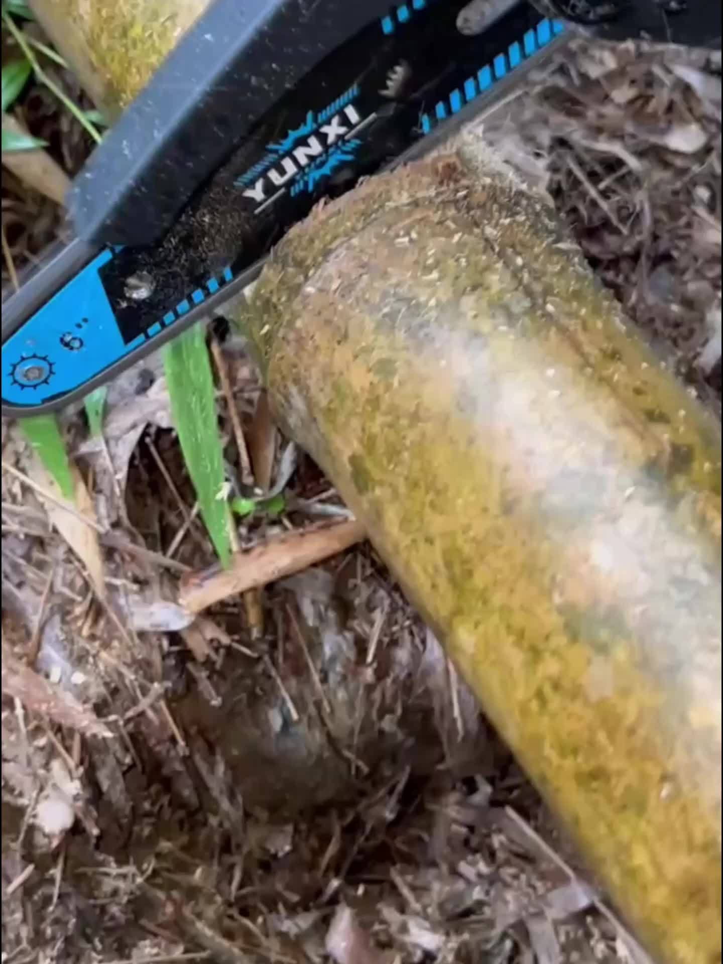 2025 Nieuwe Handheld Elektrische Kettingzaag - Lichtgewicht Draagbare Kettingzaag met Snoer en Europese Stekker