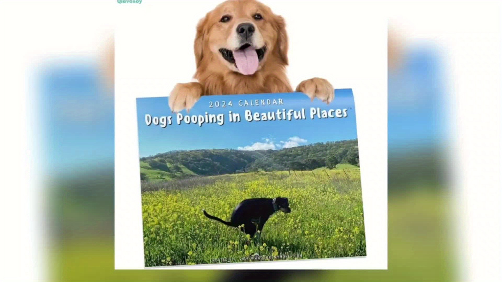 Cani Che Cagano Calendario 2024, Calendario Divertente Della Cacca Di Cane,  Calendario Delle Feci Dei Cani In Posti Bellissimi, Prank Dog Poop  Calendario Wall Art Divertente Regalo Umoristico (C) : :  Cancelleria