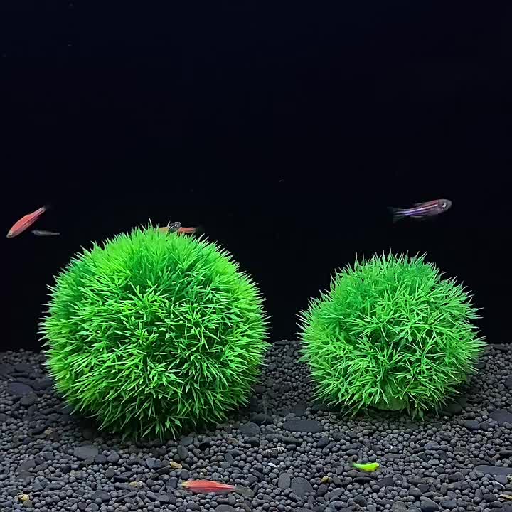 Fish Tank Decorative Moss Ball Fish Tank Water Grass Moss - Temu