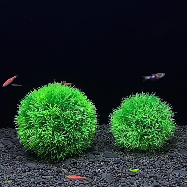 Artificial Grass Aquarium Water Lawn Ornament Aquatic - Temu