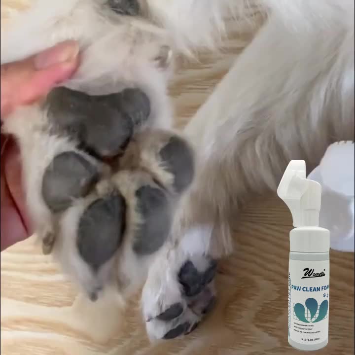 Pet Paw Cleaner for Dogs & Cats, No-Rinse Cats Dogs Feet Foam Cleaning  Silicone Pet Grooming Brush Waterless Shampoo Paw Cleaner for Dogs, Cats,  Pets