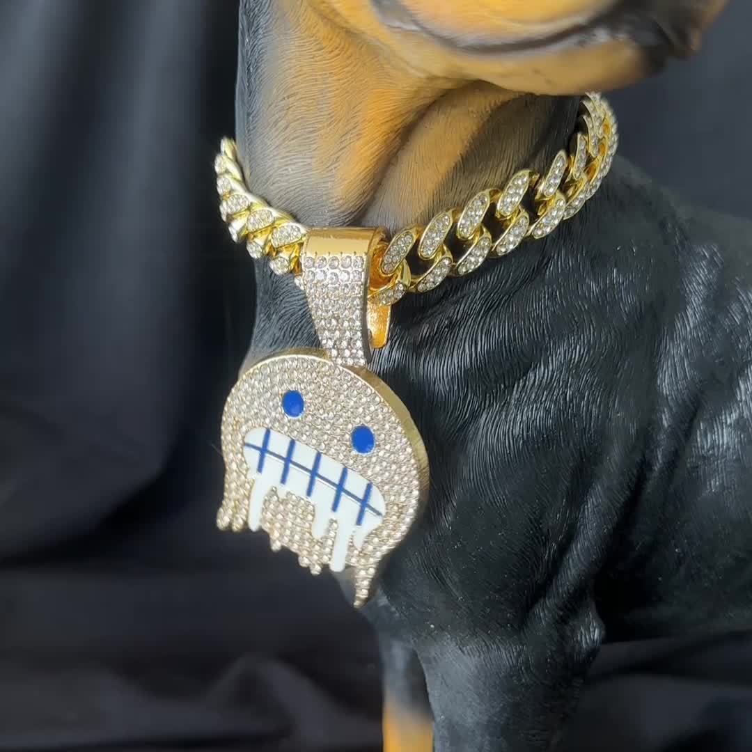 Iced out dog chain hotsell