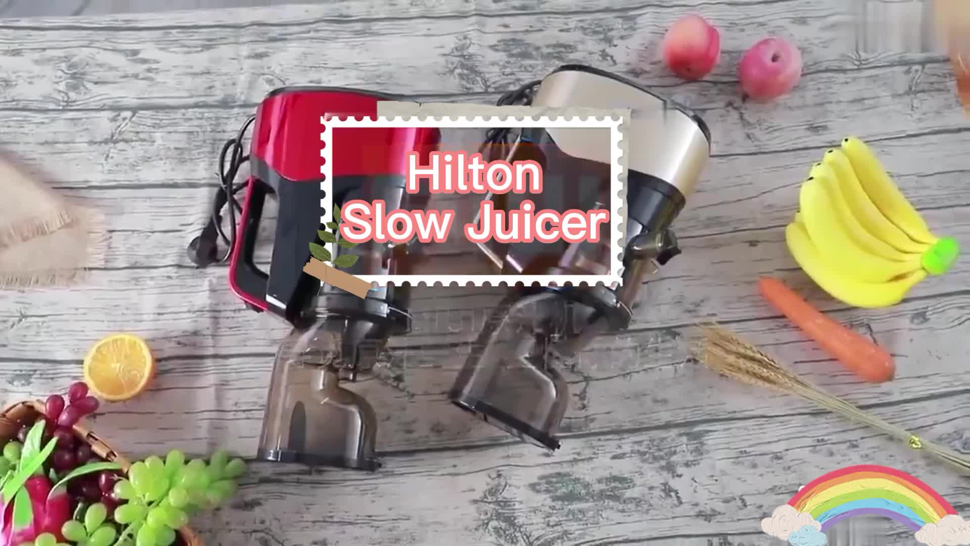 1pc Hilton Slow Juicer Juice Extractor Portable Small Fruit Juicer