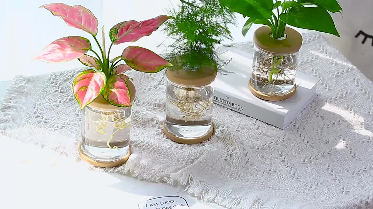 2pcs / 4pcs Pot De Fleur Hydroponique Transparent Imitation - Temu France