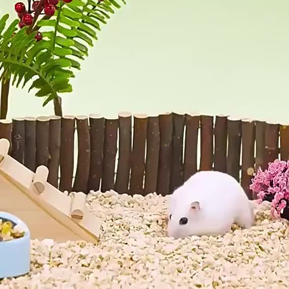 Natural Corn Cob Litter, Suitable for Small Animals And Birds - Super Absorbent And Deodorizing Litter, for Hamsters, Guinea Pigs, Rabbits, Reptiles, And Pet Bird Cages, Hamster Litter/Small Animal Cage Litter - Image 9