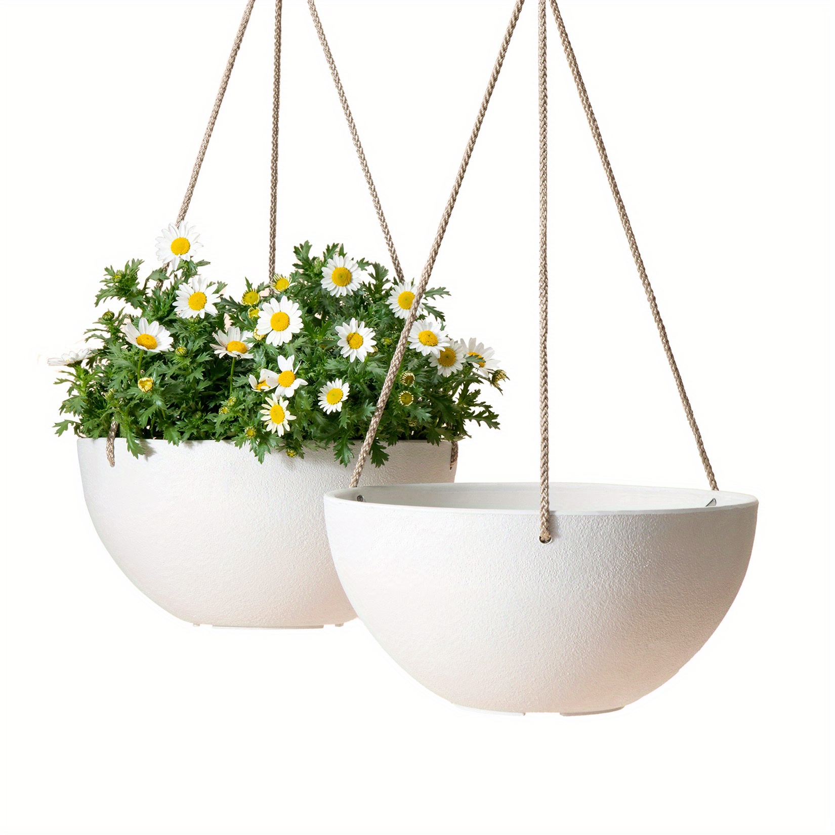 plant pots that hang on the wall 5
