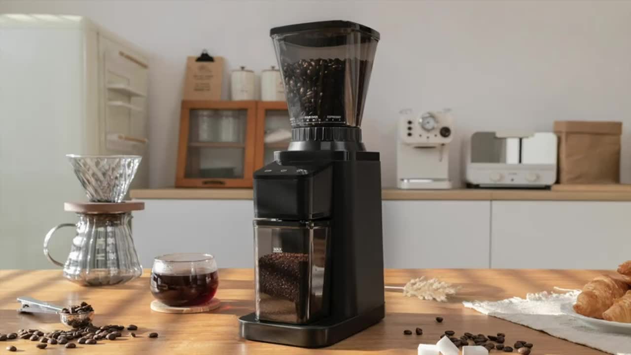 Electric Burr Coffee Grinder, Spice Grinder with Digital Timer Display,  Perfect for Espresso, Herbs, Spices, Nuts, Grain