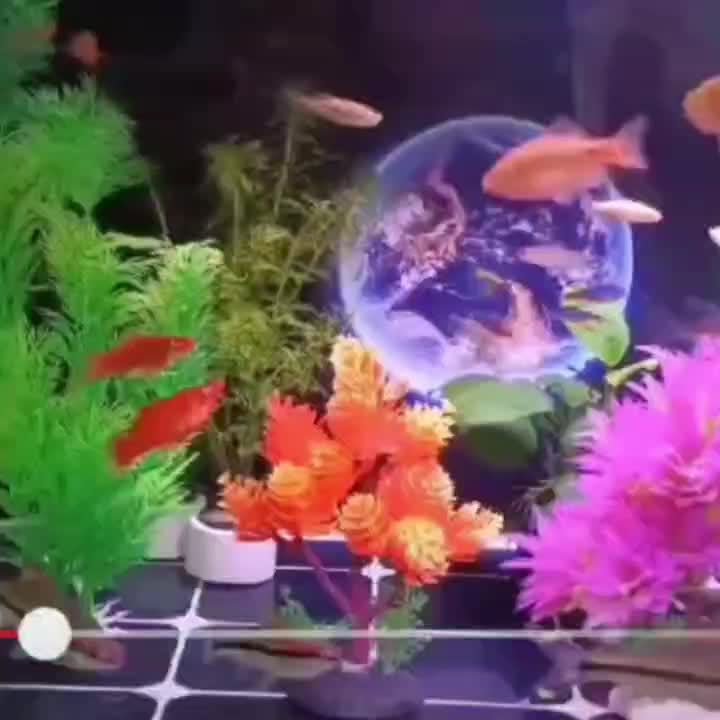 Fish Tank Decoration Fun Floating Decoration Simulation Mini Diver Fish  Tank Aquarium Accessories - Pet Supplies - Temu