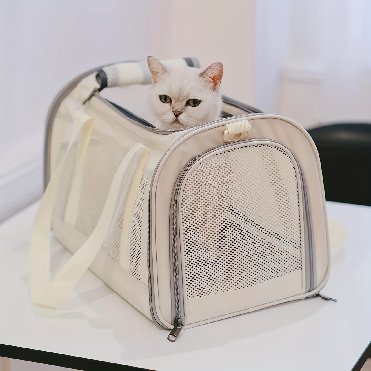 Cat Carriers Portable Pet Bag Summer Breathable Cat Carrier Hand-held  Folding Small Dog Carrier - Temu