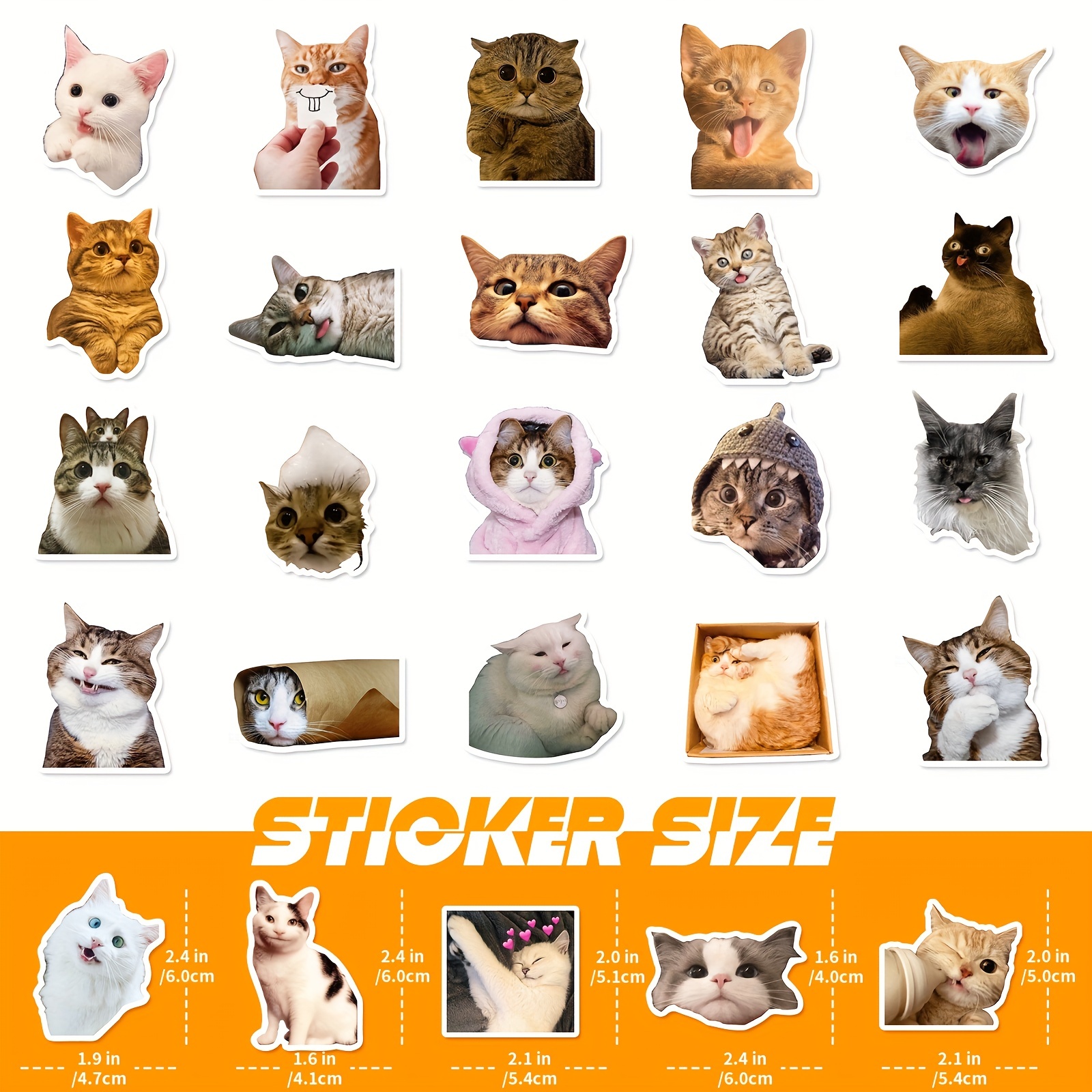 Realistic Cute Cat Mixed Stickers Cat Expression Stickers - Temu