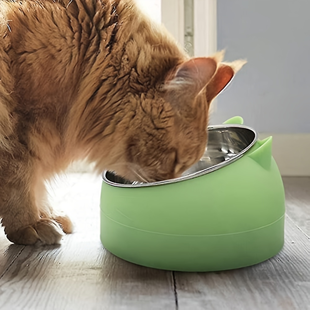 Stainless Steel Elevated Angled Cat Bowl