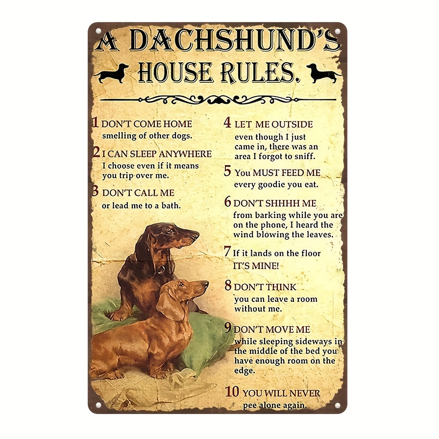 Dachshund rules 2024