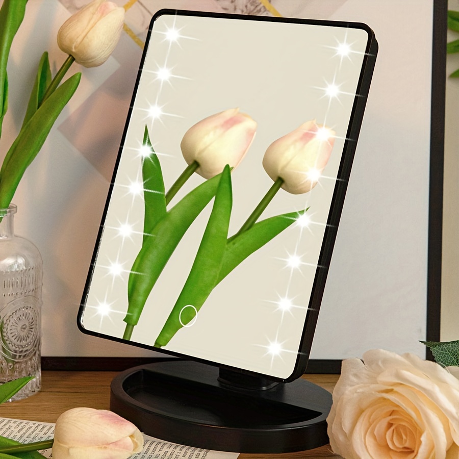 Portable led deals mirror light