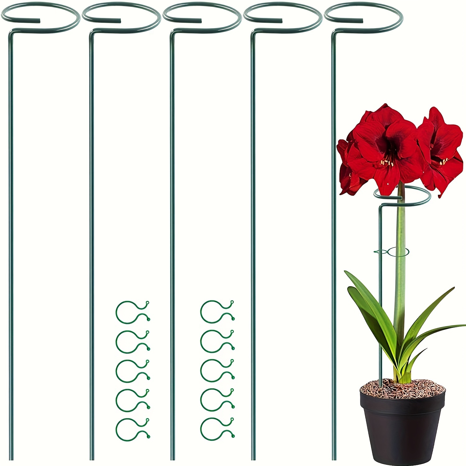 

5pcs, Plant Support Stakes, Garden Single Stem Flower Support Rod Metal, Plant Cage Support Ring, With 10 Plant Clips, Suitable For Orchids, Lilies, Peonies, Roses And Stems