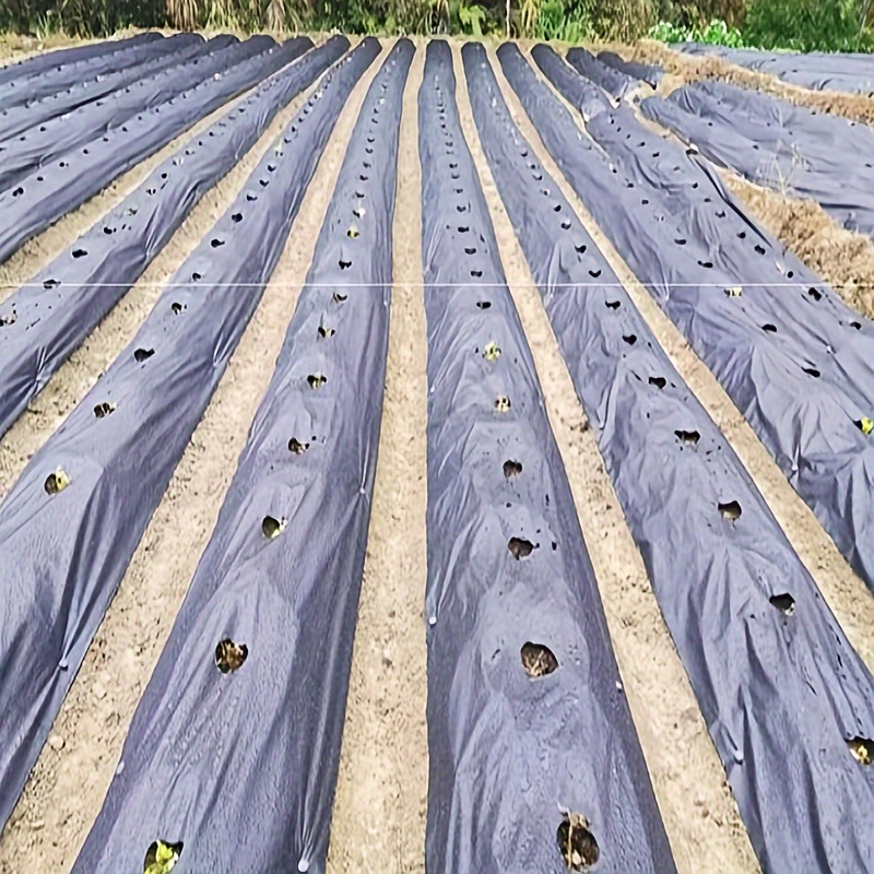 1 Paquete 1m Tela Agrícola Antihierba Película Mantillo - Temu Chile