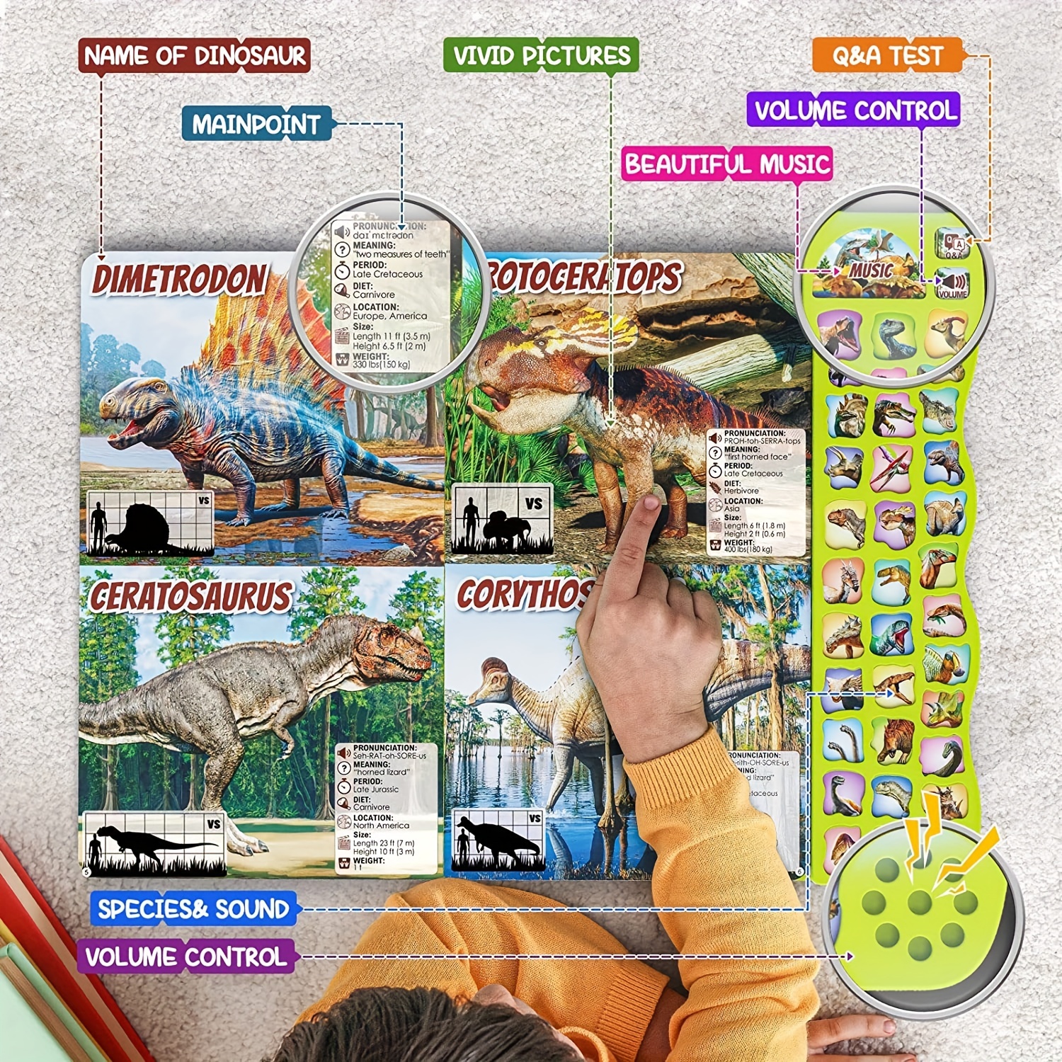 Livre De Dinosaures Pour Enfants, Livre D'activités De Dinosaures