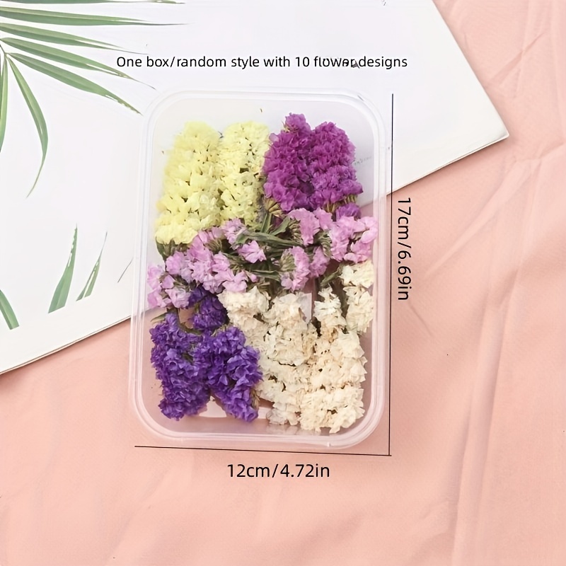 Premium Mixed Packaging Randomly Sent Dry Flowers Eternal - Temu