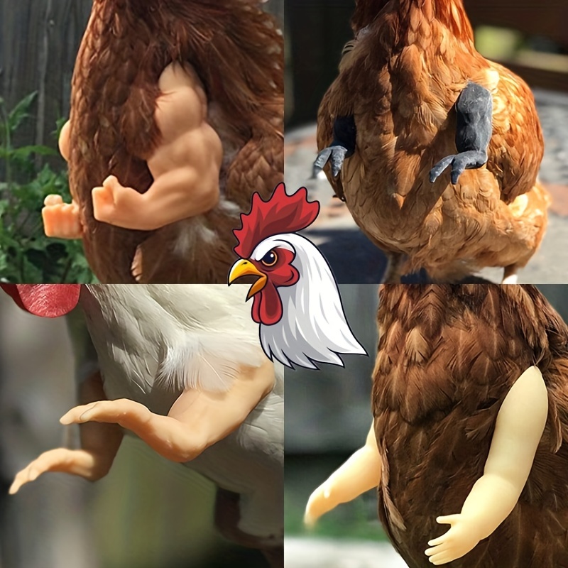 1 Pair Chicken Toys Include Strong Muscle Arms Thumb Up Arms Chicken Arms  To Put On Chickens Artificial Arms Costume Cosplay For Chickens Rooster  Hens