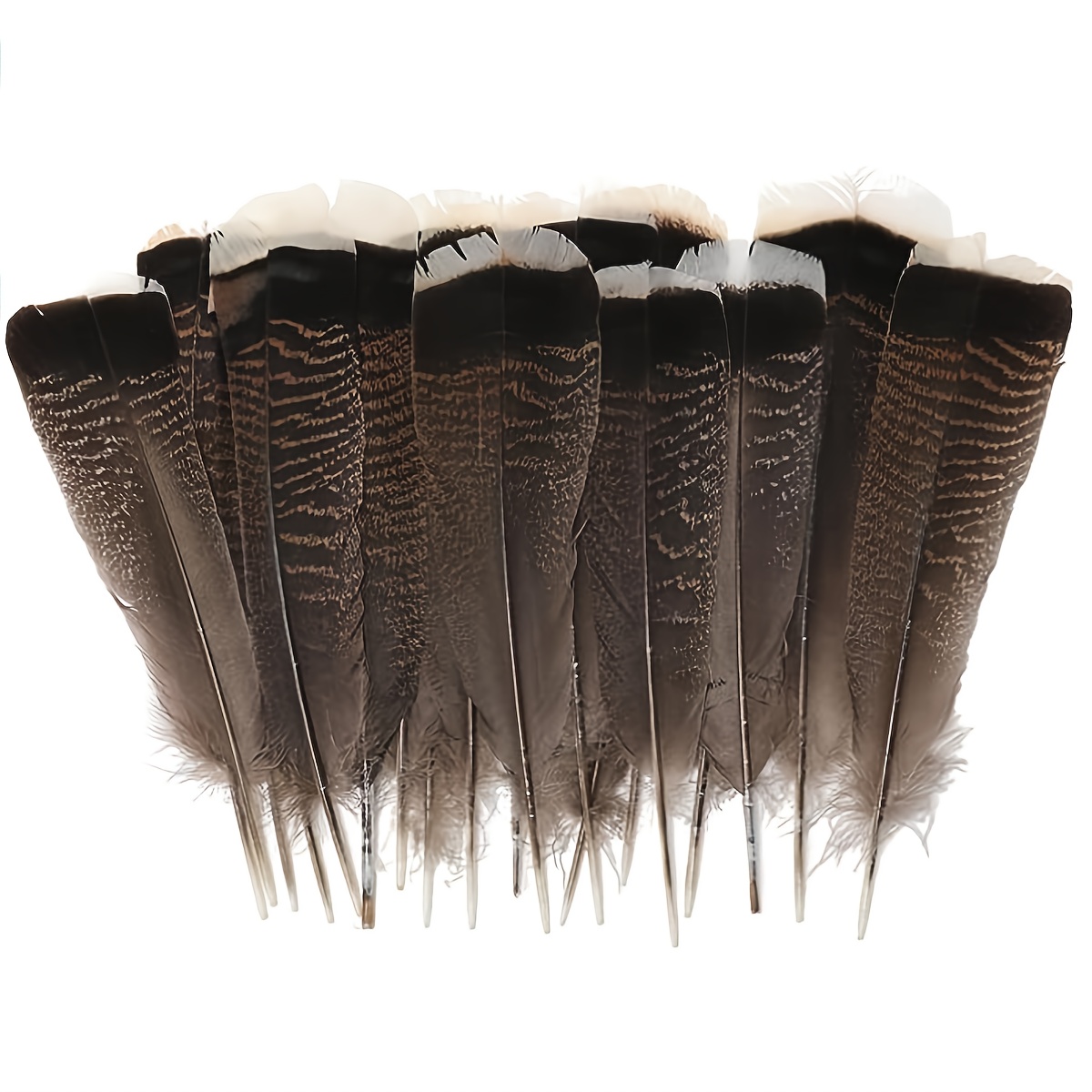 Halloween Black Feathers, 400Pcs Natural Craft Feathers Bulk in 4 Styles  for Halloween Christmas Easter Party DIY Decoration Accessories