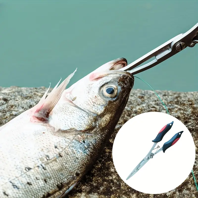 Multifunctional Fish Tongs Fishing Supplies Fishing - Temu Canada