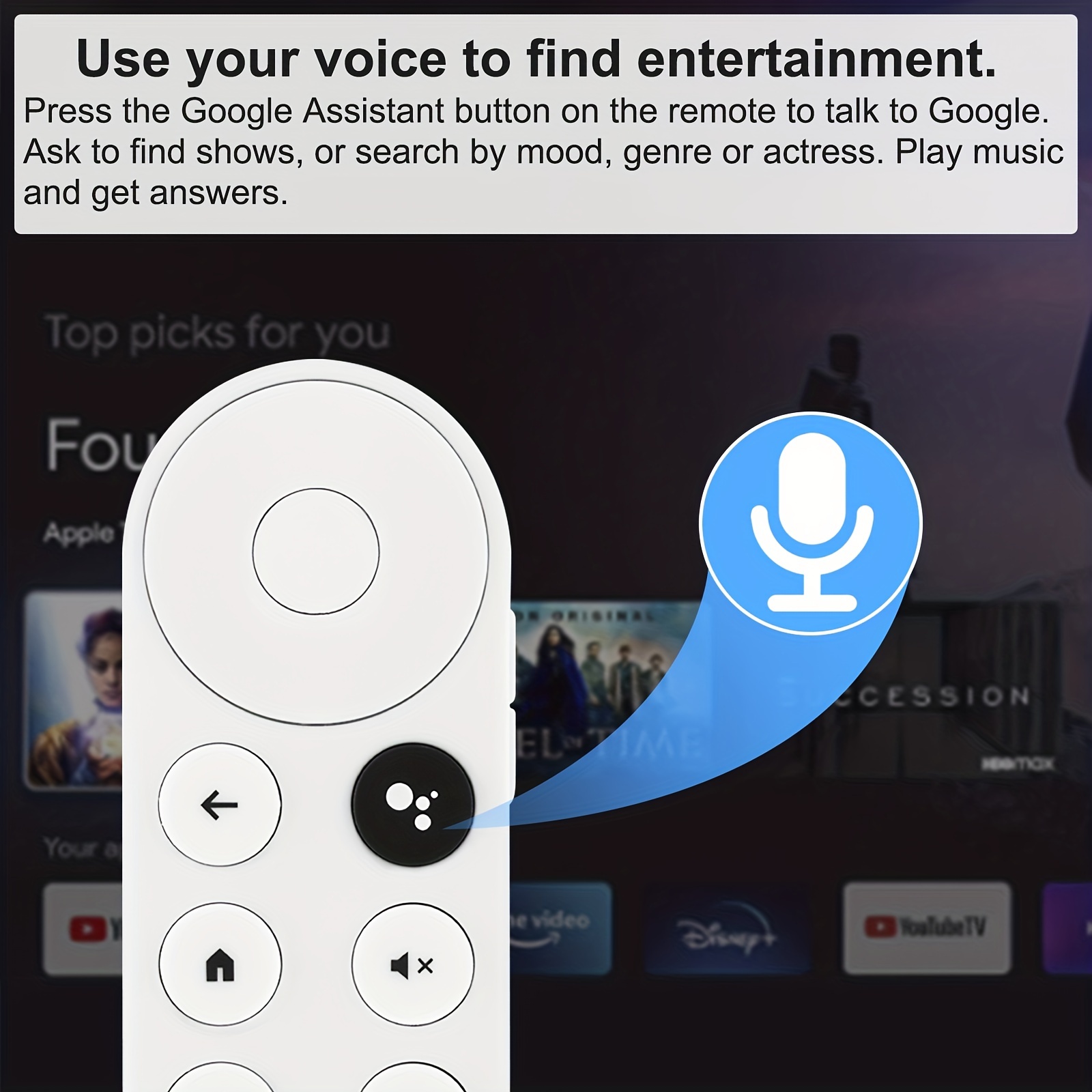 Voice Remote Control for Google Chromecast 4K Snow Streaming Media