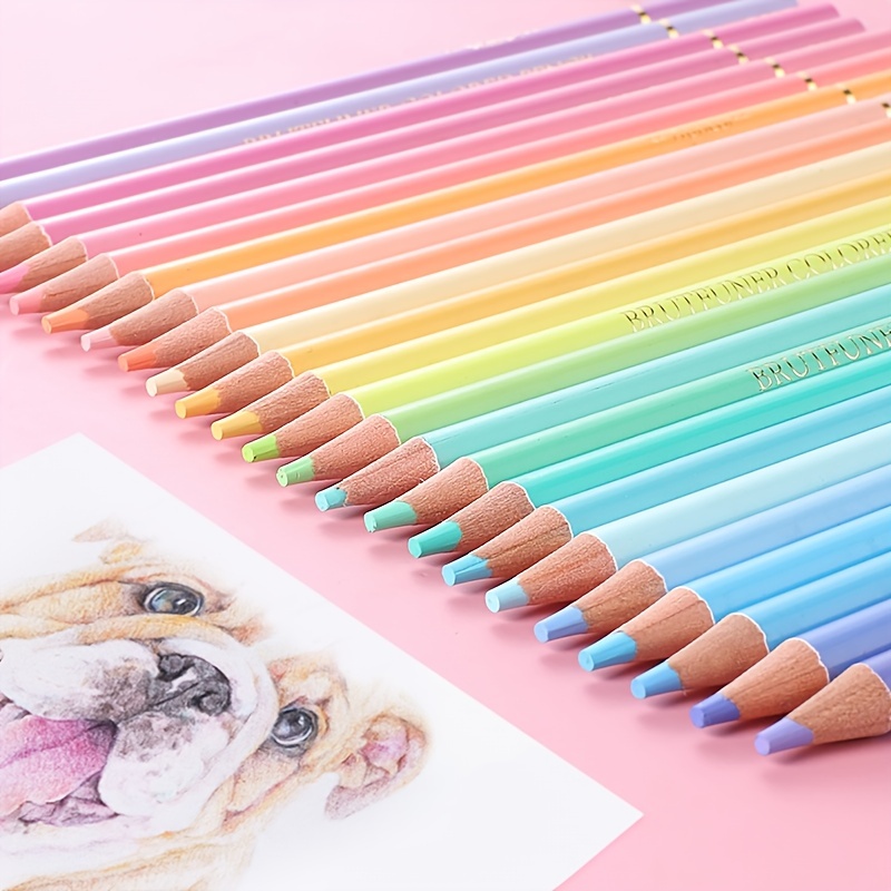 Brutfuner Macaron Colours Pencil Set Oil Pastel Colored Pencils Drawing  Pencil Set Wood Sketching Kids School