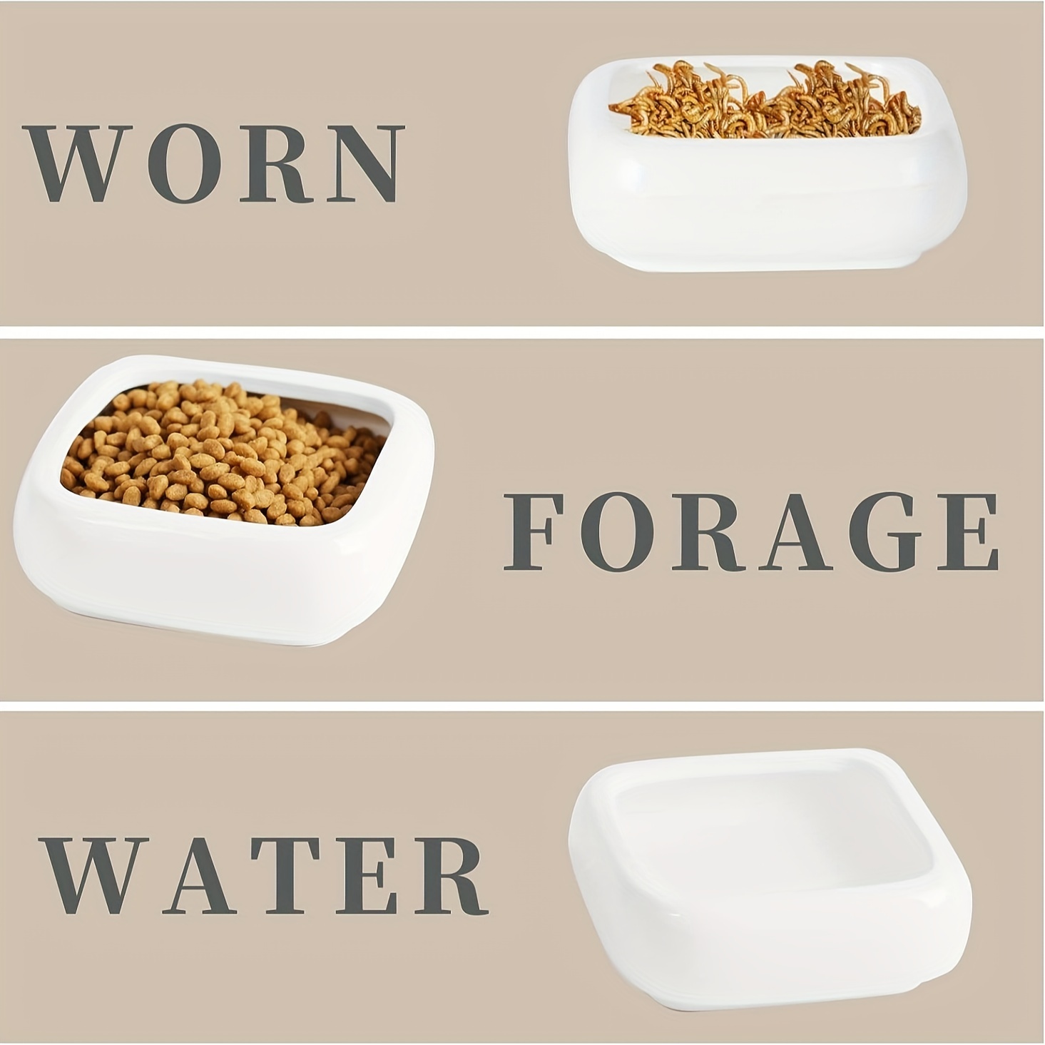 2 Ciotoline Per Rettili - Ciotole Per Cibo E Acqua Per Tartarughe, Lucertole, Gechi E Piccoli Animali - Foto 10