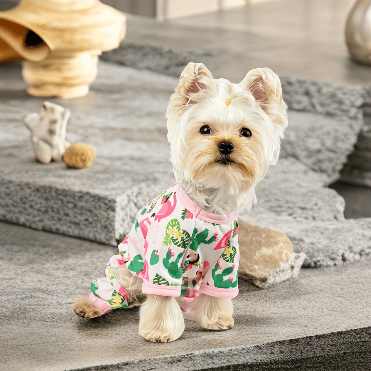 Soft Stretchy Dog Pajamas For Small Dogs In Summer Puppy Clothes Extra  Small Puppy Pjs Pet Shirts For Small Medium Dogs And Cats, Today's Best  Daily Deals