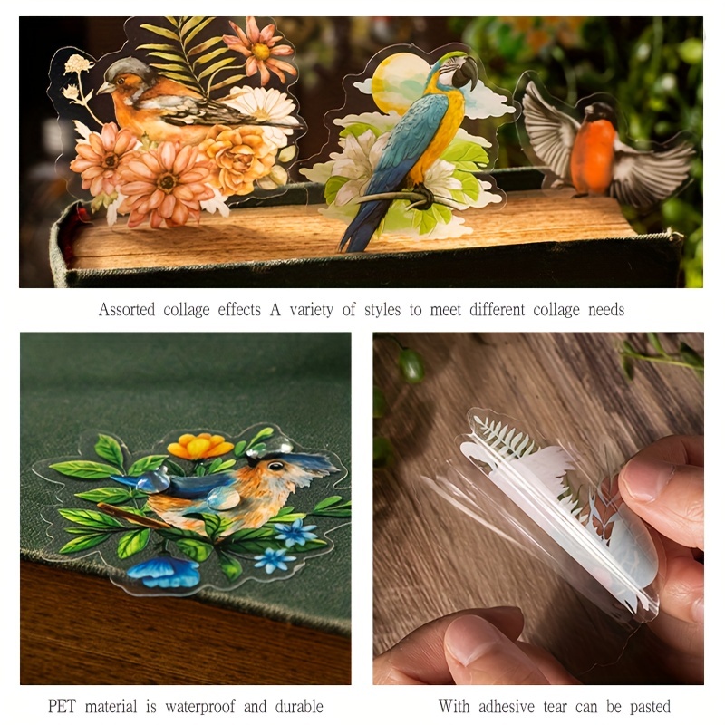 Parrot Bird Pet Animals Cute Waterproof Stickers For - Temu