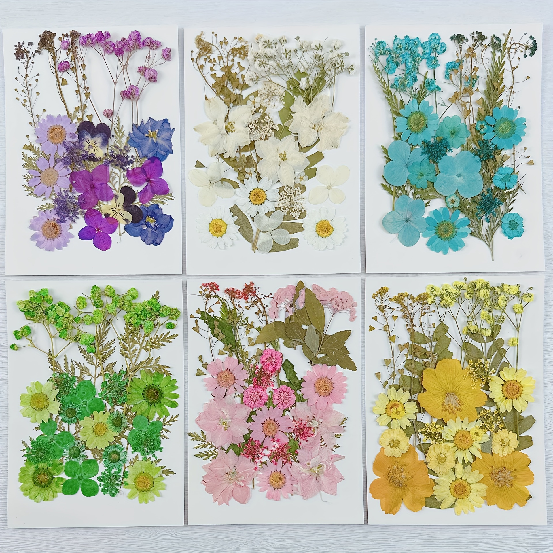 Dovell Diy Photo Frame Material Kit Diy Dried Flower Photo - Temu