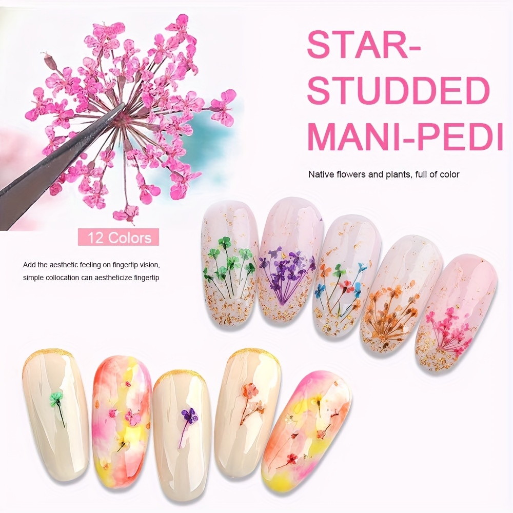 Mixed Dried Flowers Nail Art Decoration Natural Dried Petal Floral Slider  Jewelry UV Gel Polish Manicure