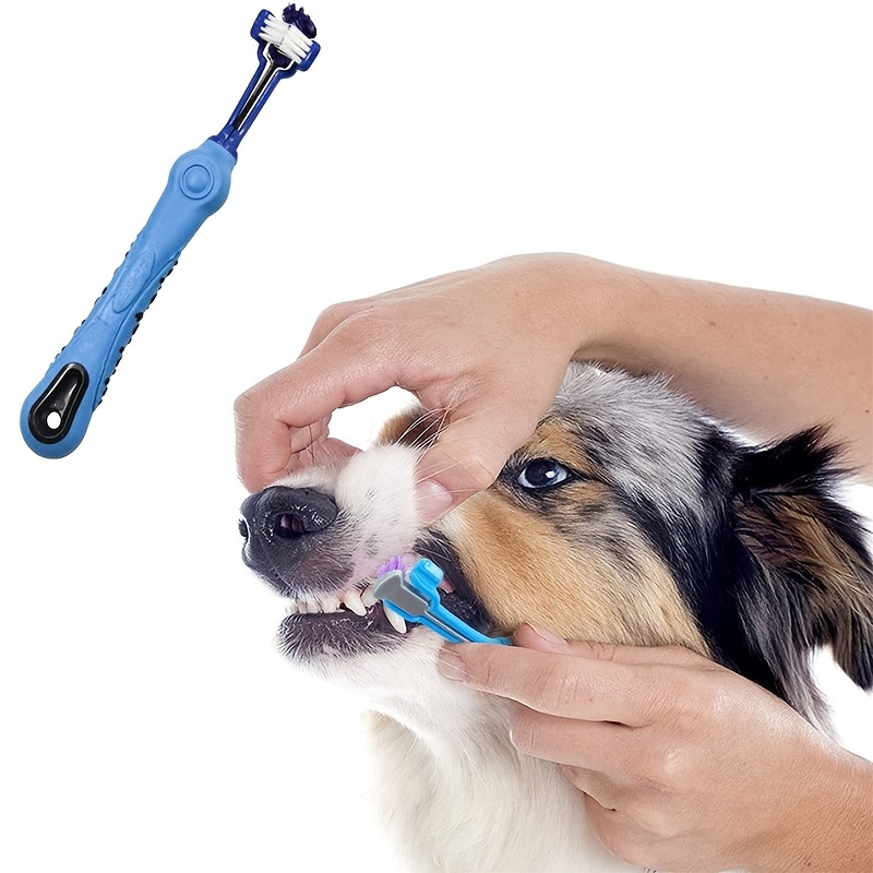 Odoland Toalla de secado rápido para perros 3 en 1, incluye cepillo de aseo  para mascotas, cepillo deslizante para perros, toalla de microfibra ultra