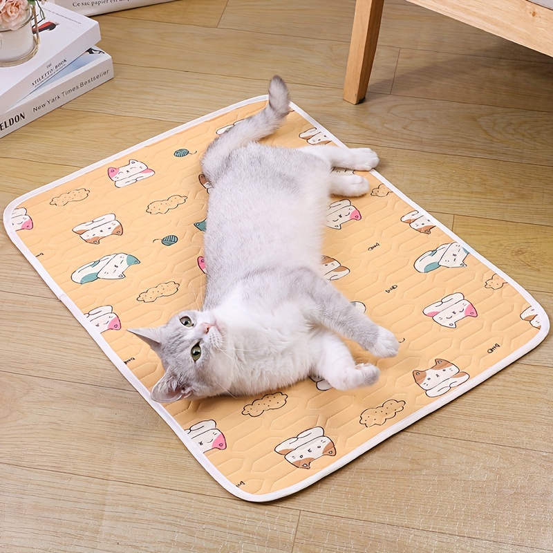 Cat training cheap mat