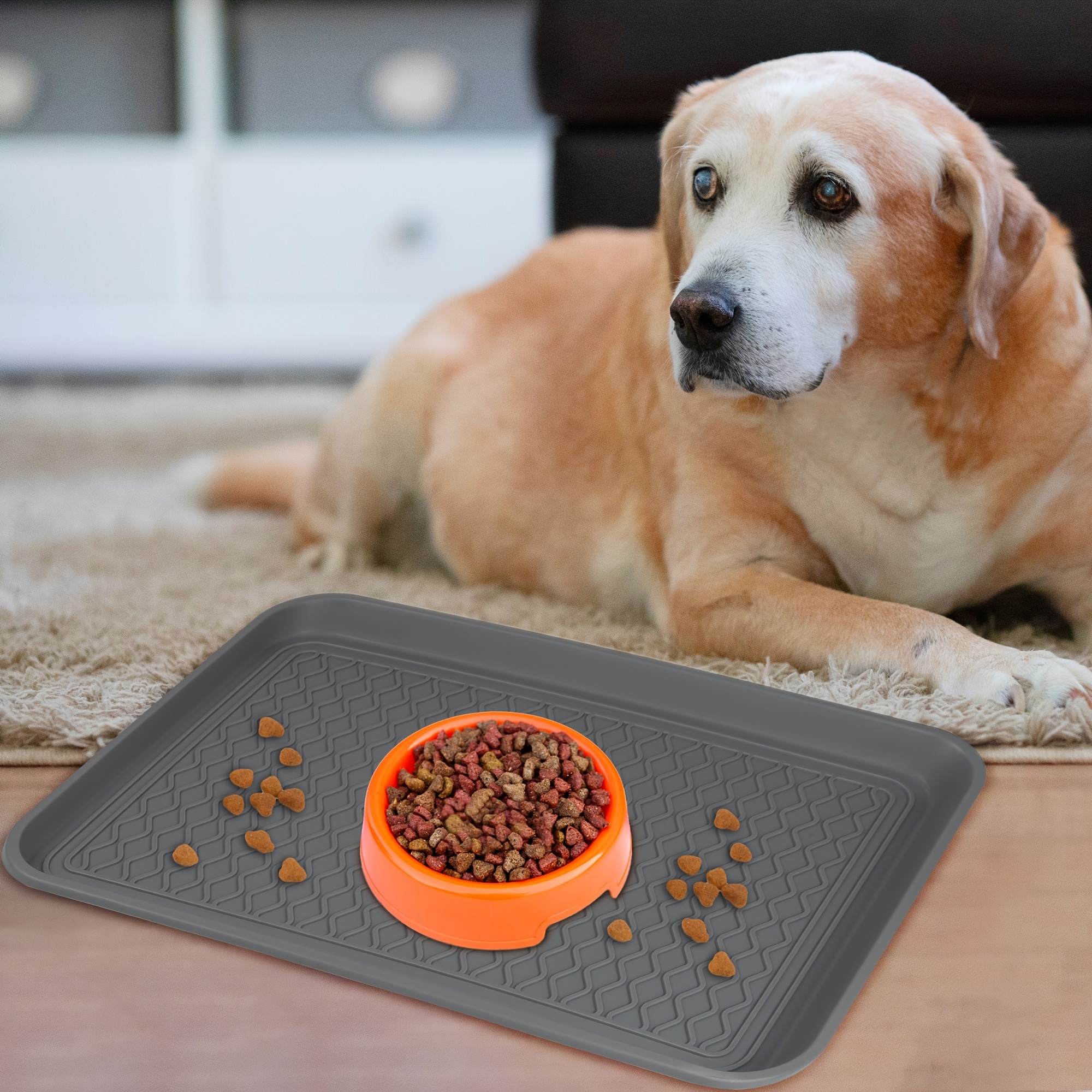 Boot Tray For Entryway Indoor Pet Food Mat Tray dog Water - Temu