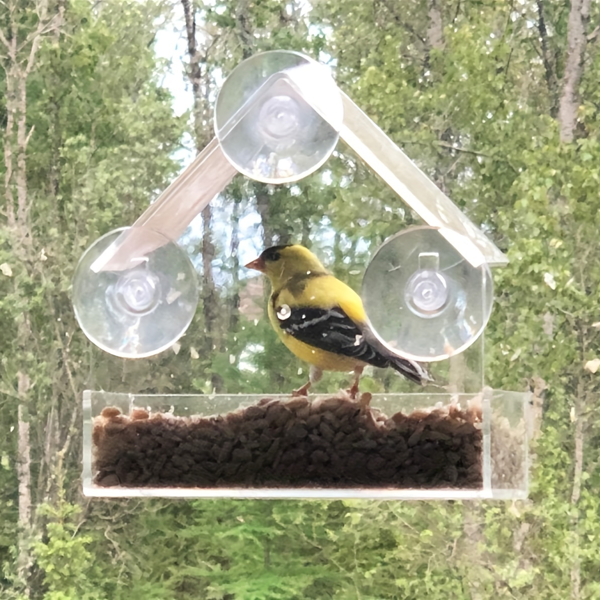 Window Bird Feeder with Strong Suction Cups, Clear Window Bird Feeders for  Outside - Transparent Bird House, Balcony Glass Mount, Acrylic Cat, Kids 