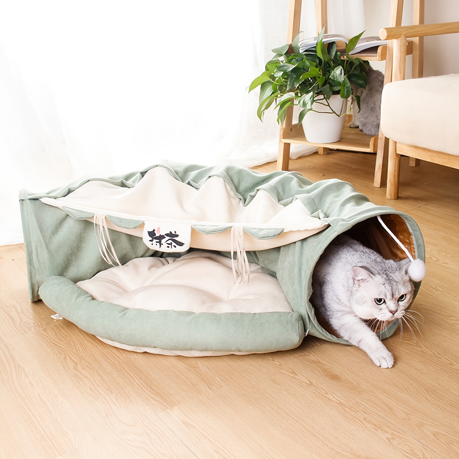 Indoor cat bed best sale