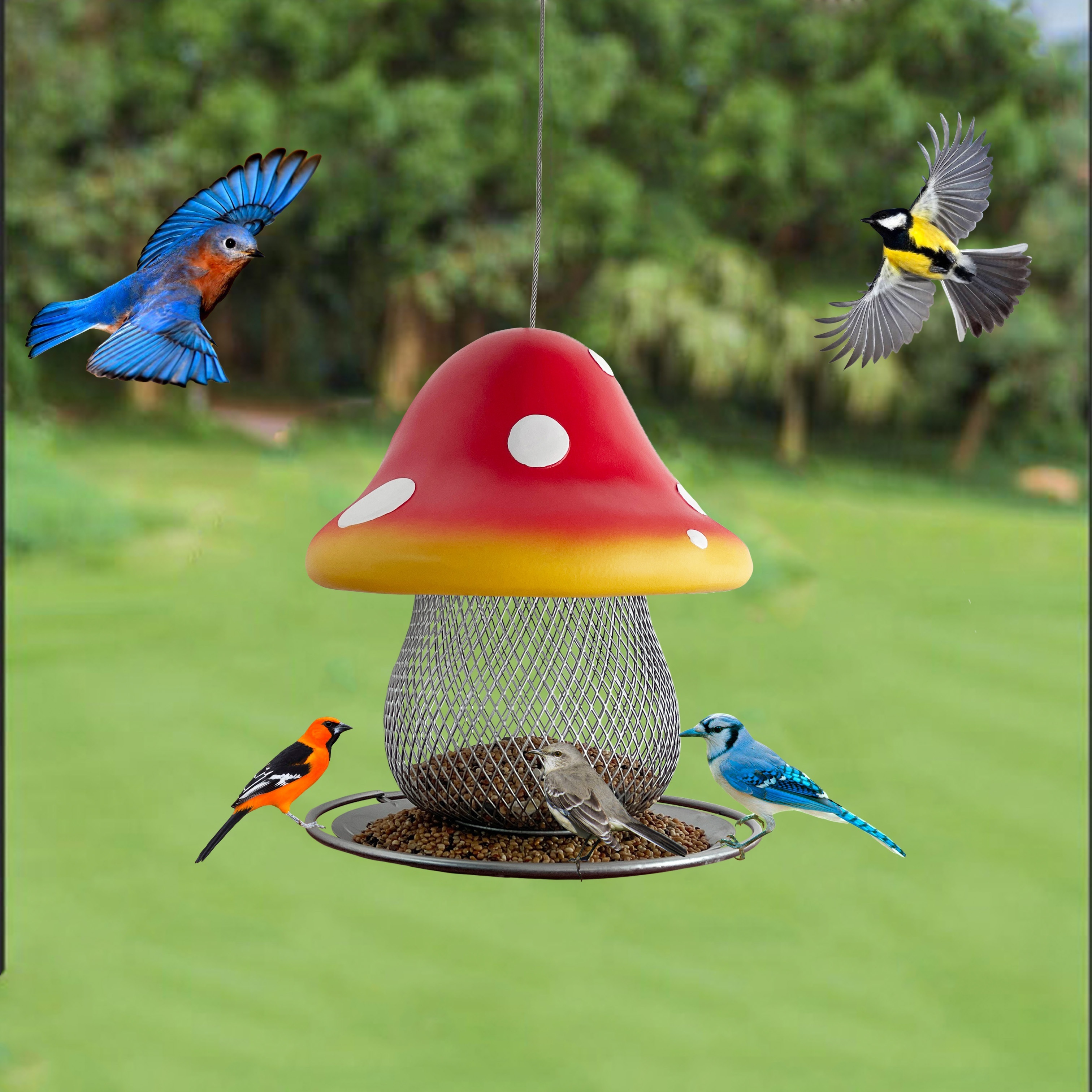 Enhance Garden Heavy duty Outdoor Shepherd Hook Bird Feeding - Temu Canada